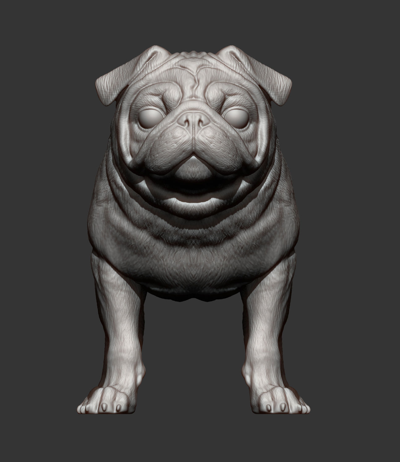 Pug for 3D printing 3D print model_9