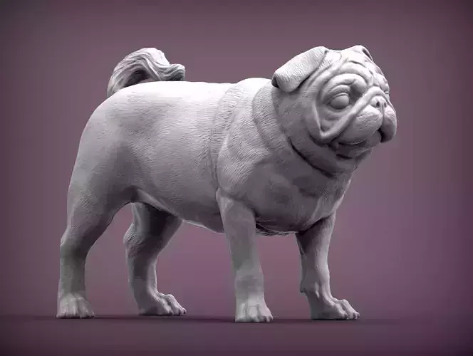 Pug for 3D printing 3D print model