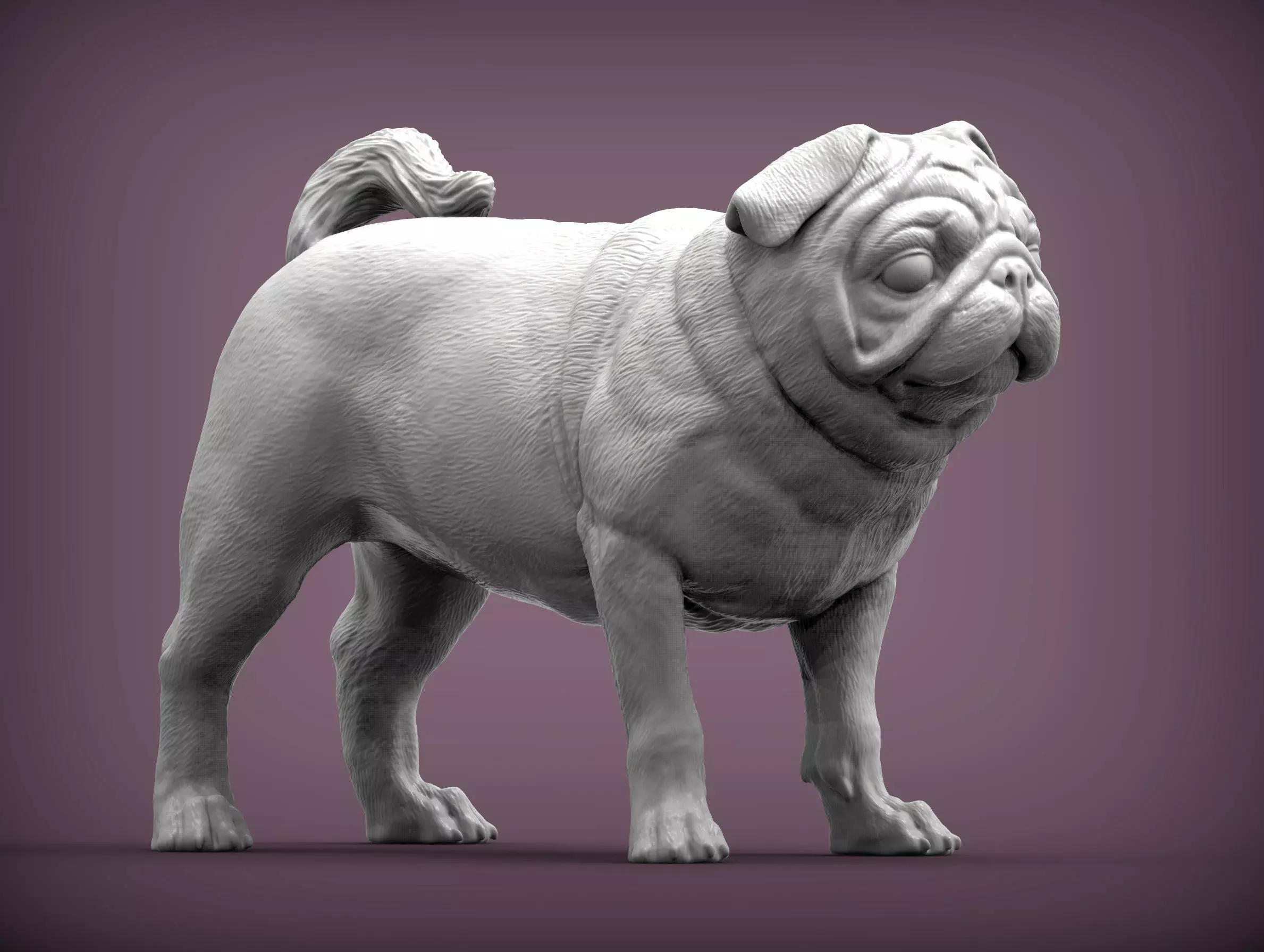 Pug for 3D printing 3D print model_0