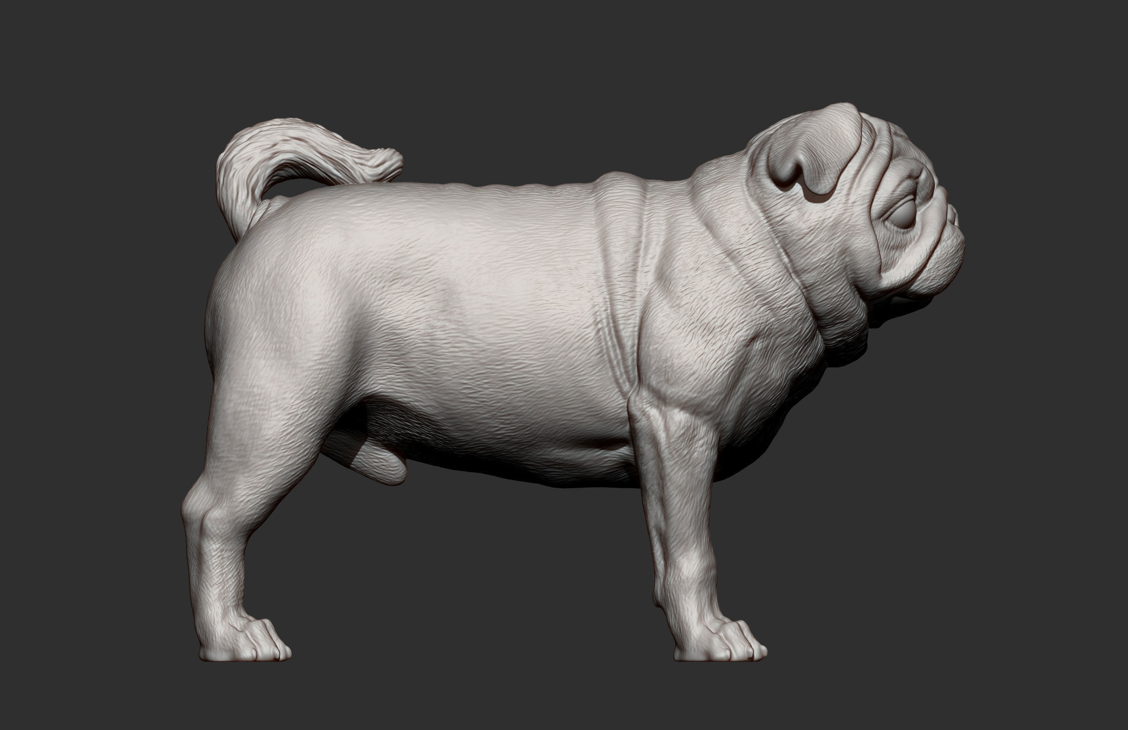 Pug for 3D printing 3D print model_11