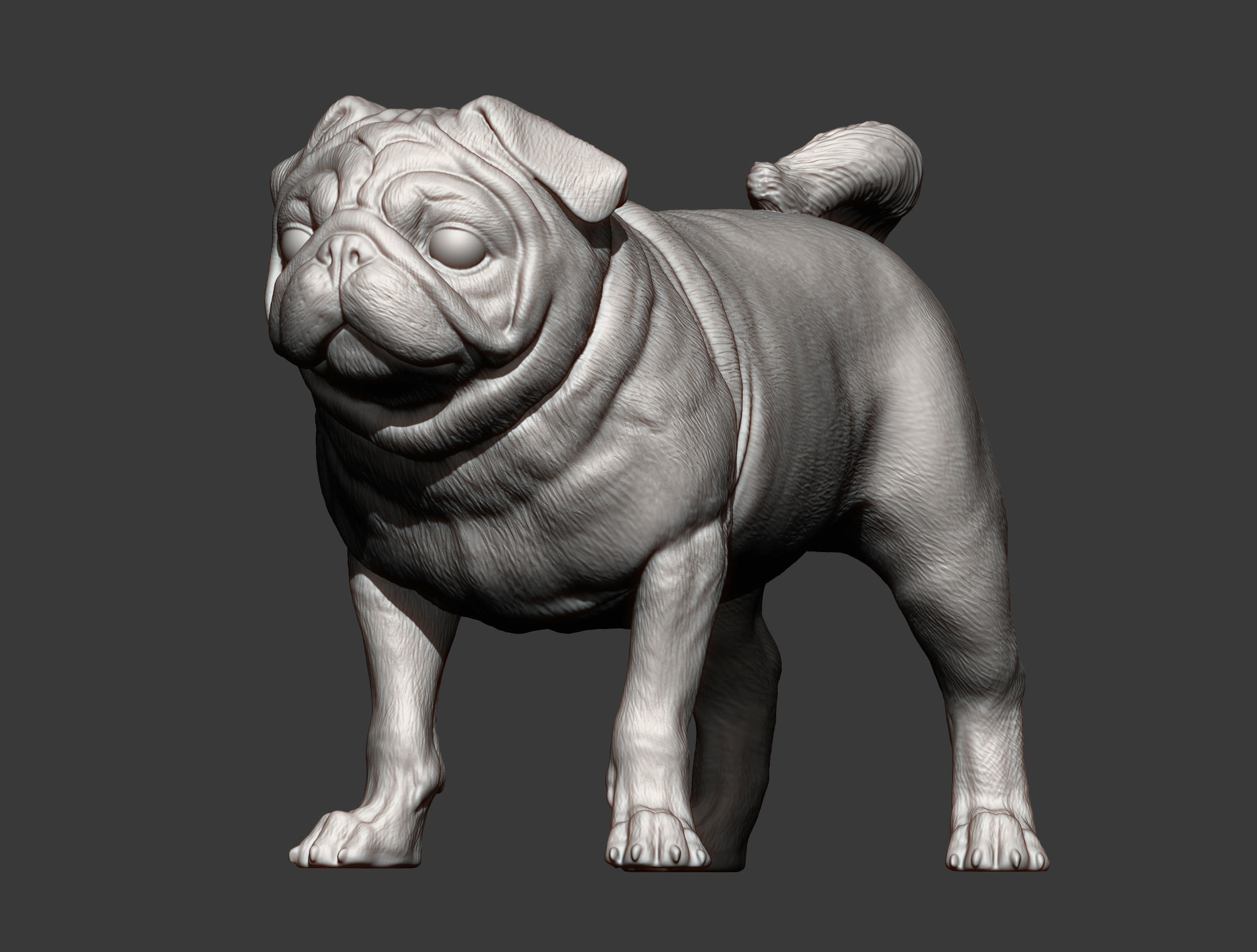 Pug for 3D printing 3D print model_14