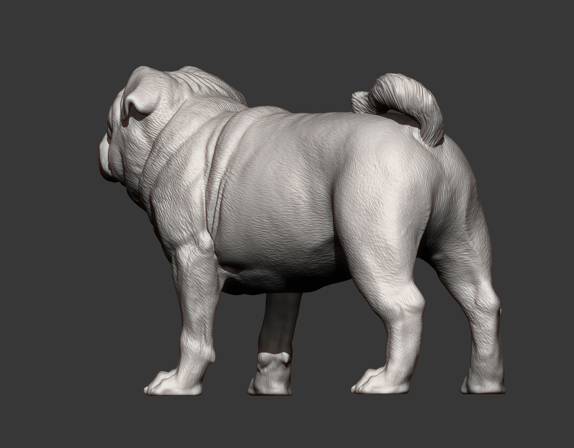 Pug for 3D printing 3D print model_7