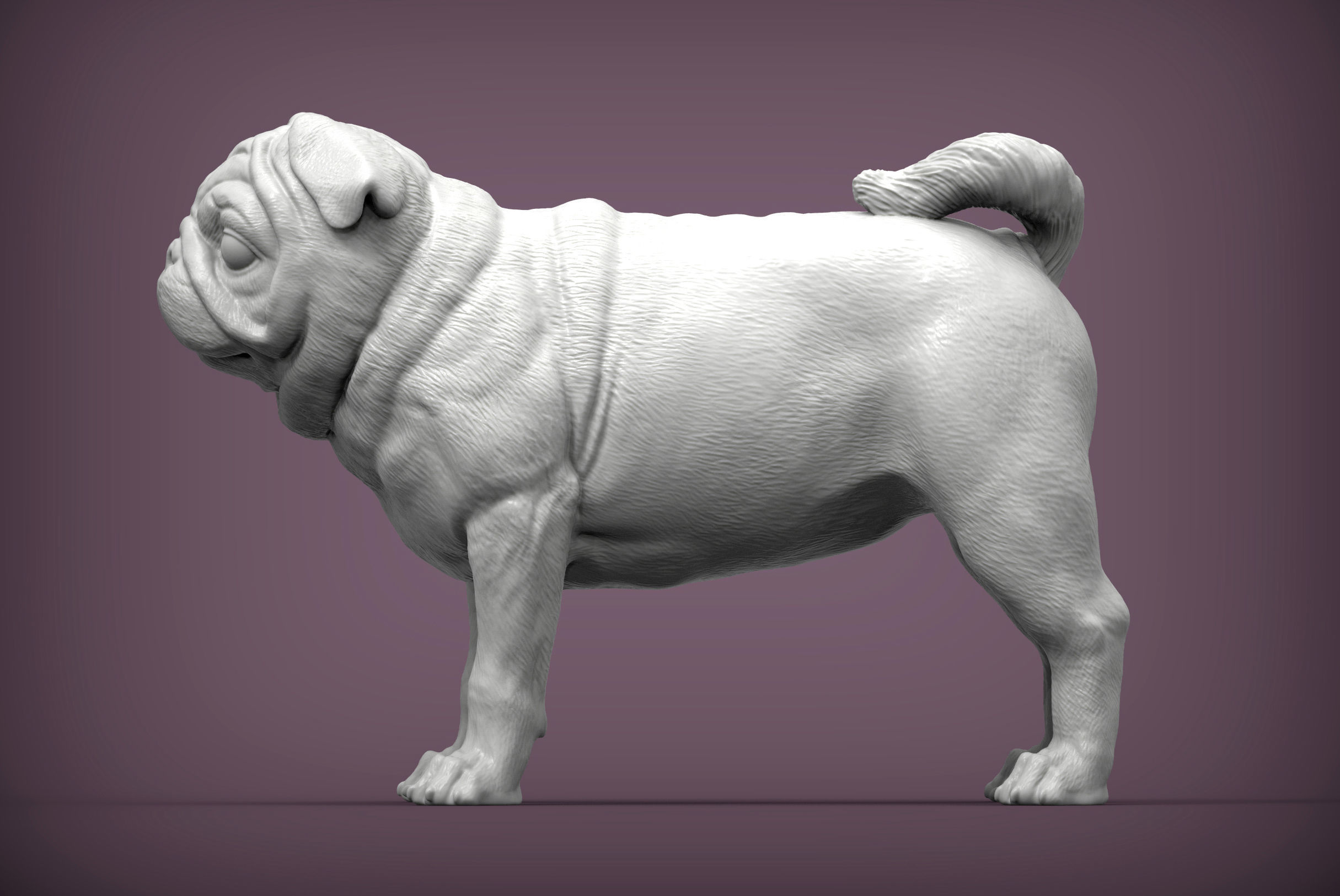 Pug for 3D printing 3D print model_6