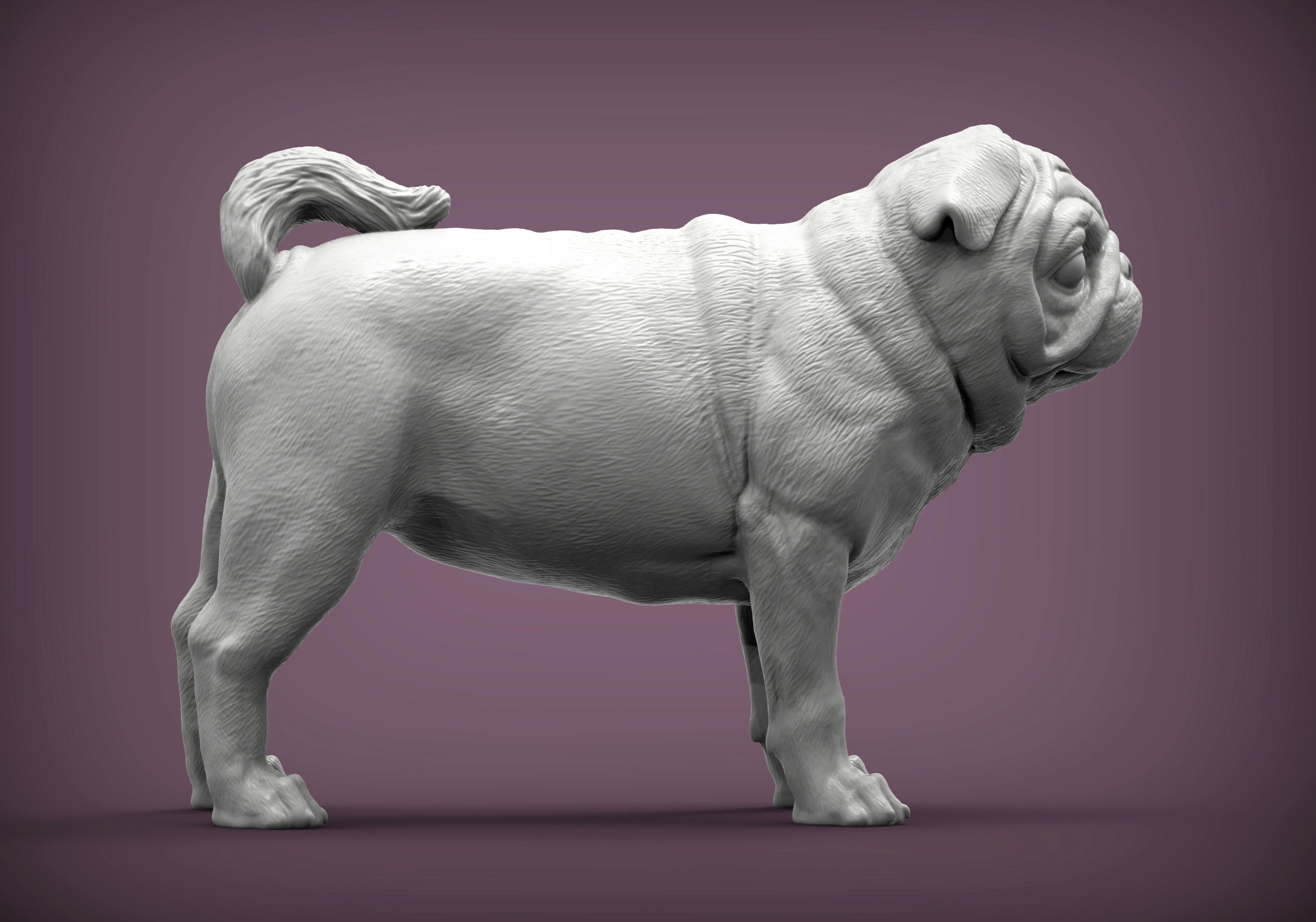 Pug for 3D printing 3D print model_3