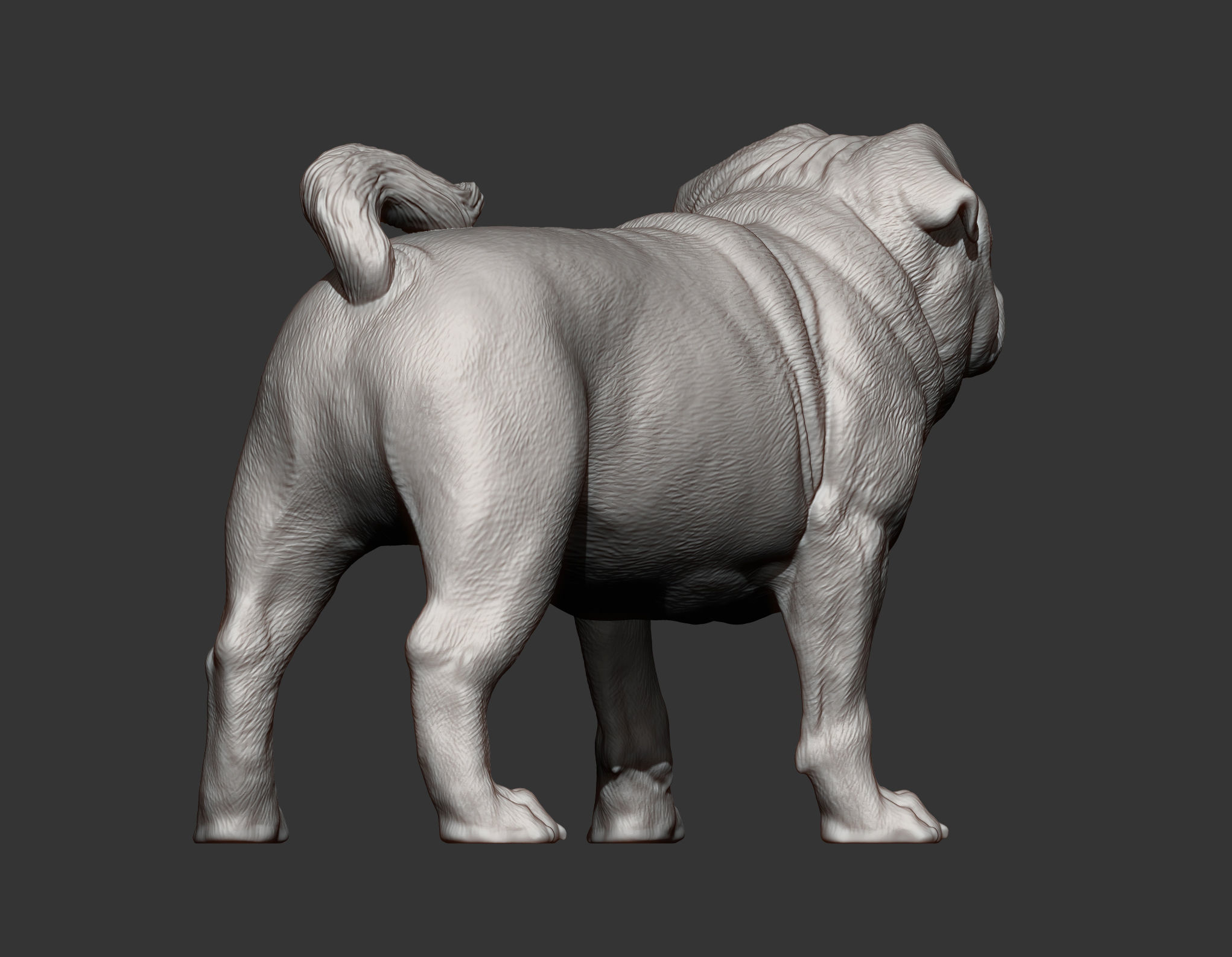 Pug for 3D printing 3D print model_13