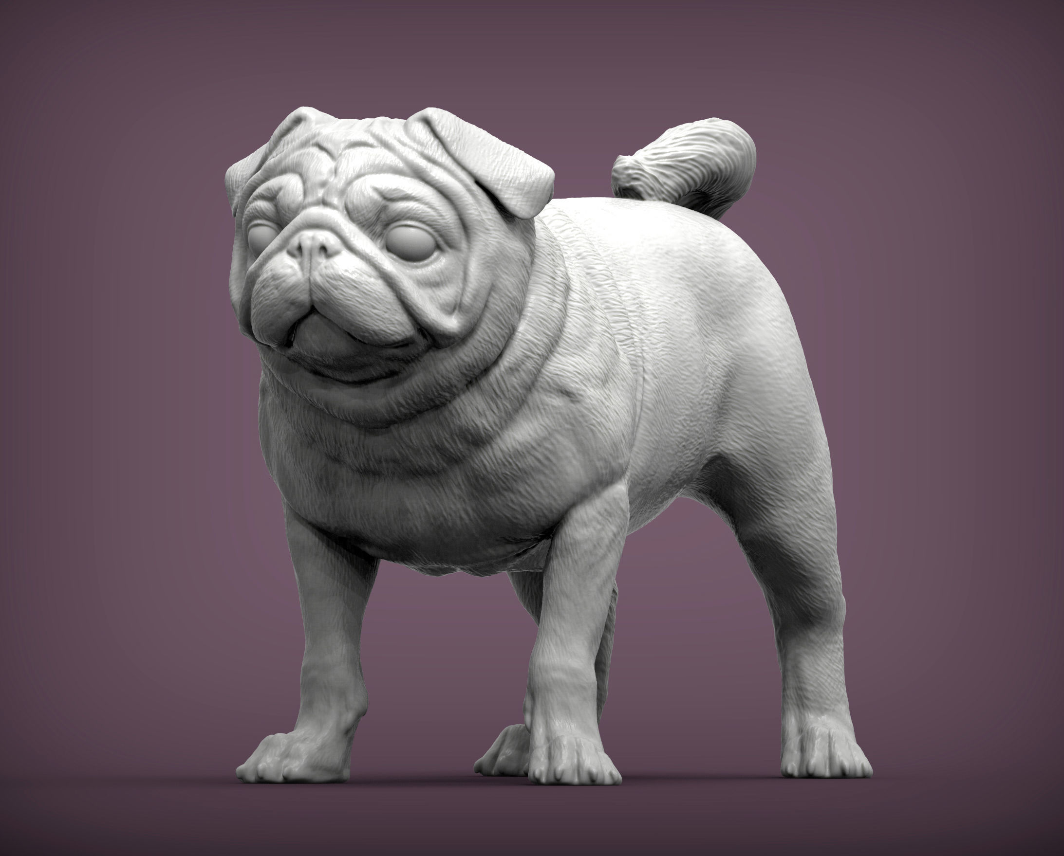 Pug for 3D printing 3D print model_2