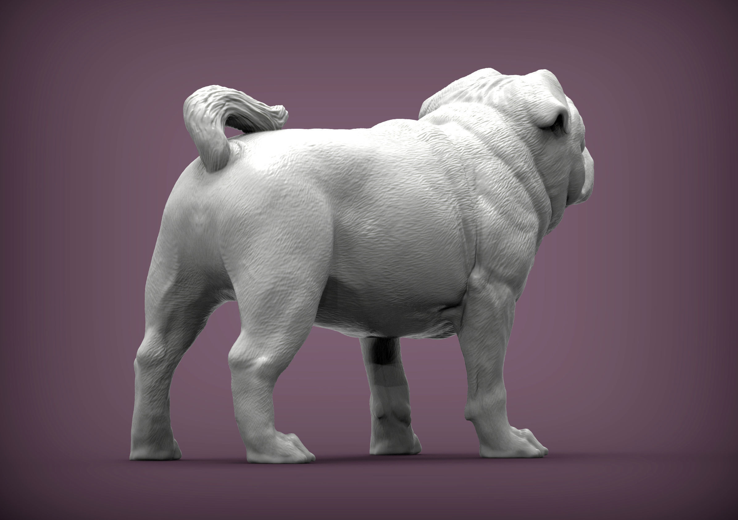 Pug for 3D printing 3D print model_4