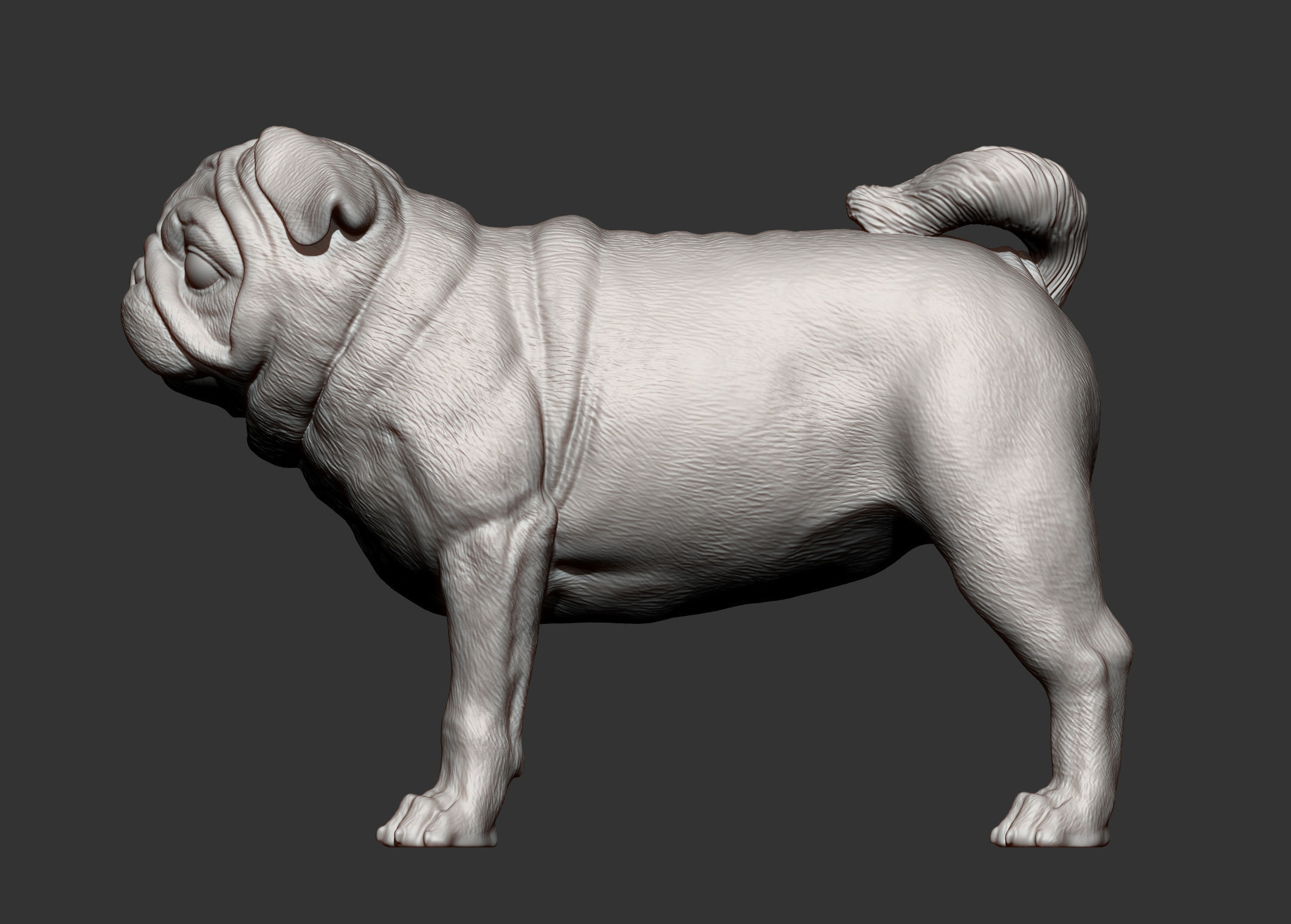 Pug for 3D printing 3D print model_8