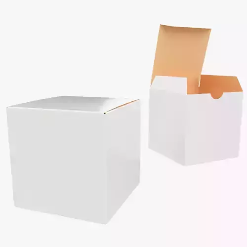 10cm Paper Box Closed Opened Unwrapped 3D model