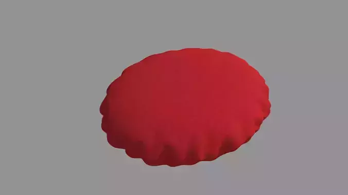 Round Cushion Pillow
