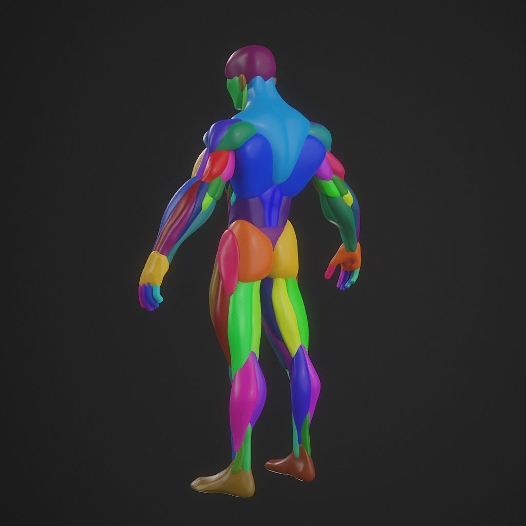 Basebody for Sculpting 3D model_6