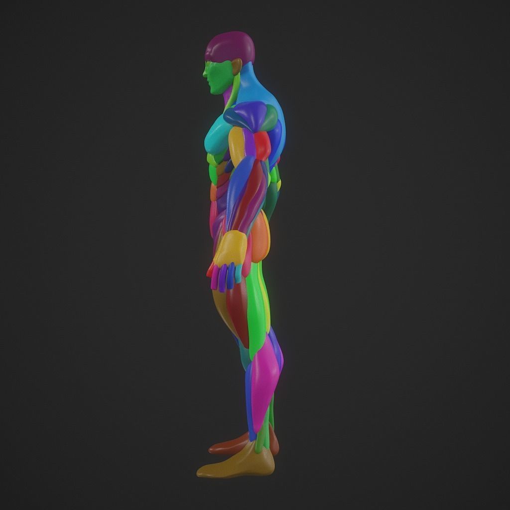 Basebody for Sculpting 3D model_5