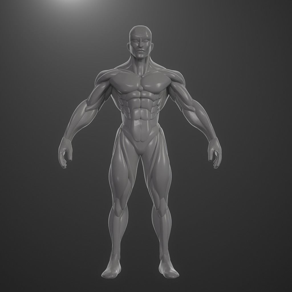 Basebody for Sculpting 3D model_10