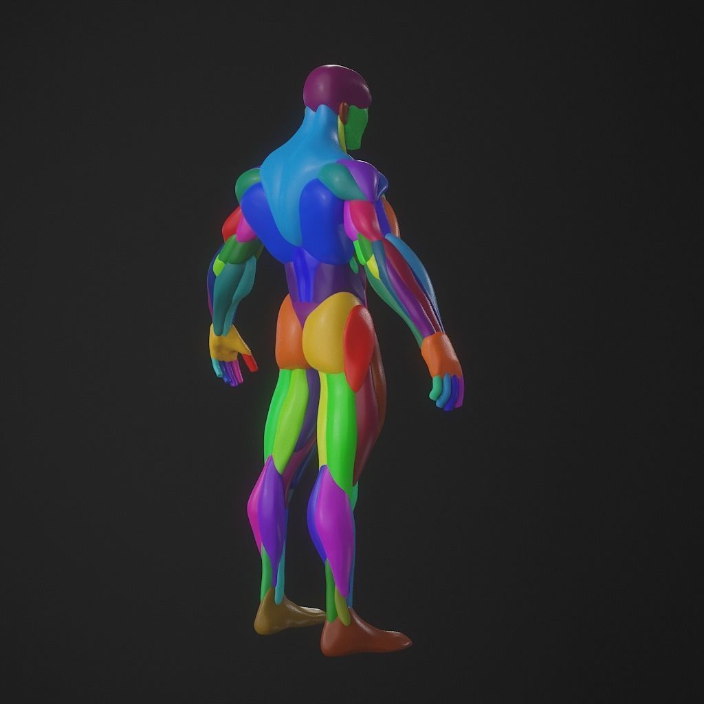 Basebody for Sculpting 3D model_7