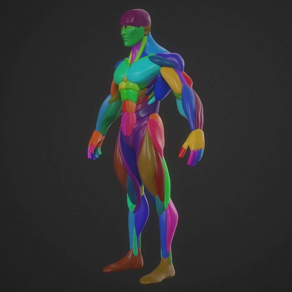Basebody for Sculpting 3D model_4