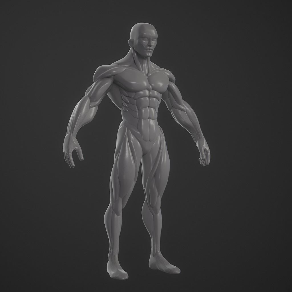 Basebody for Sculpting 3D model_9