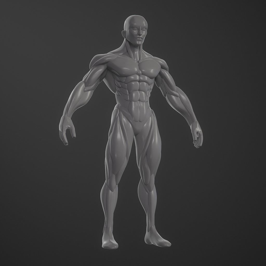 Basebody for Sculpting 3D model_18