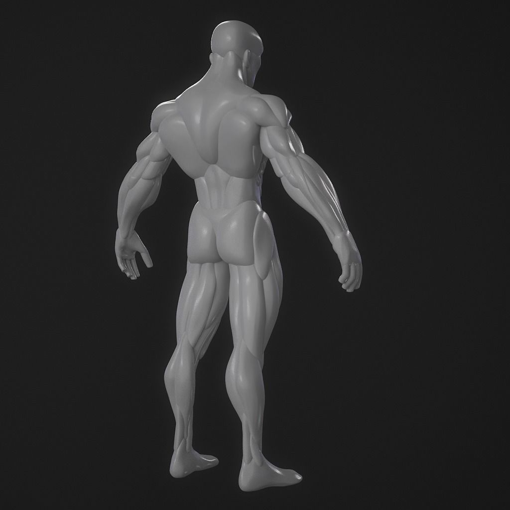 Basebody for Sculpting 3D model_15