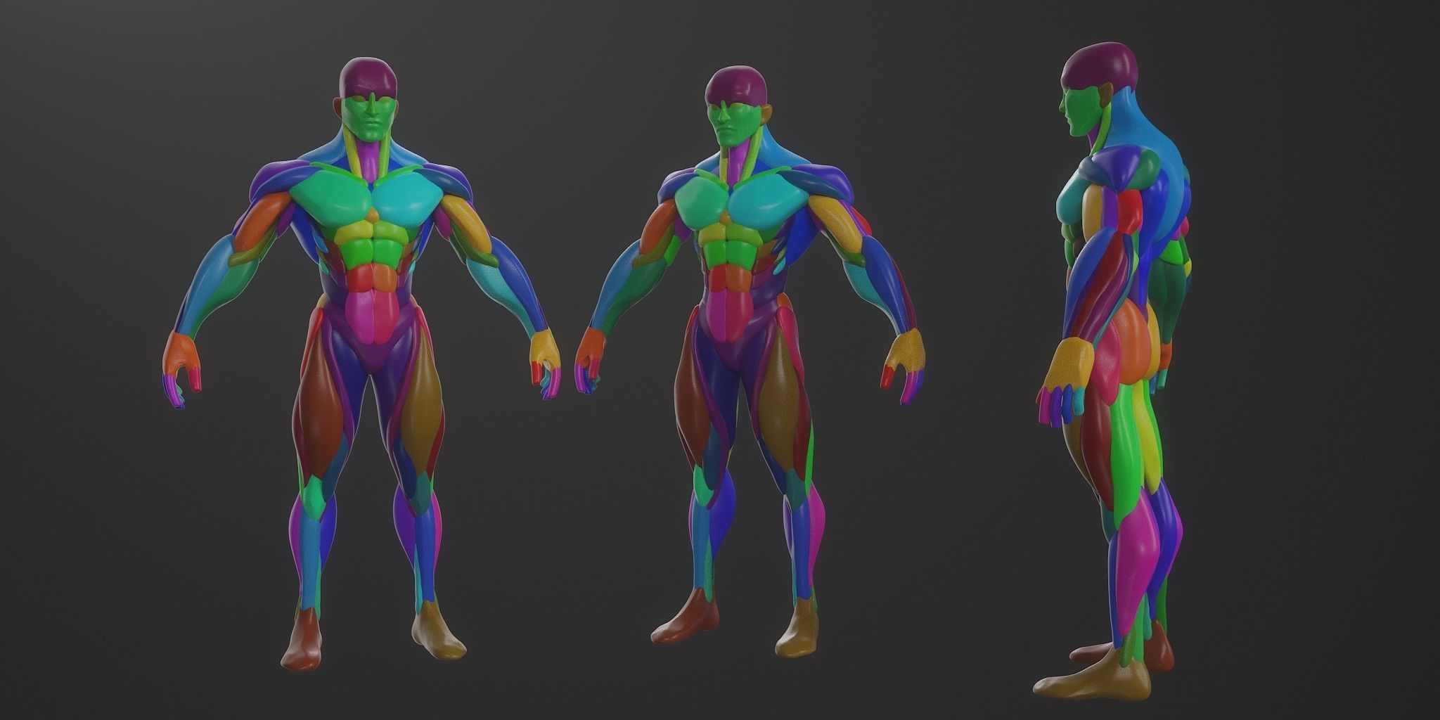 Basebody for Sculpting 3D model_3