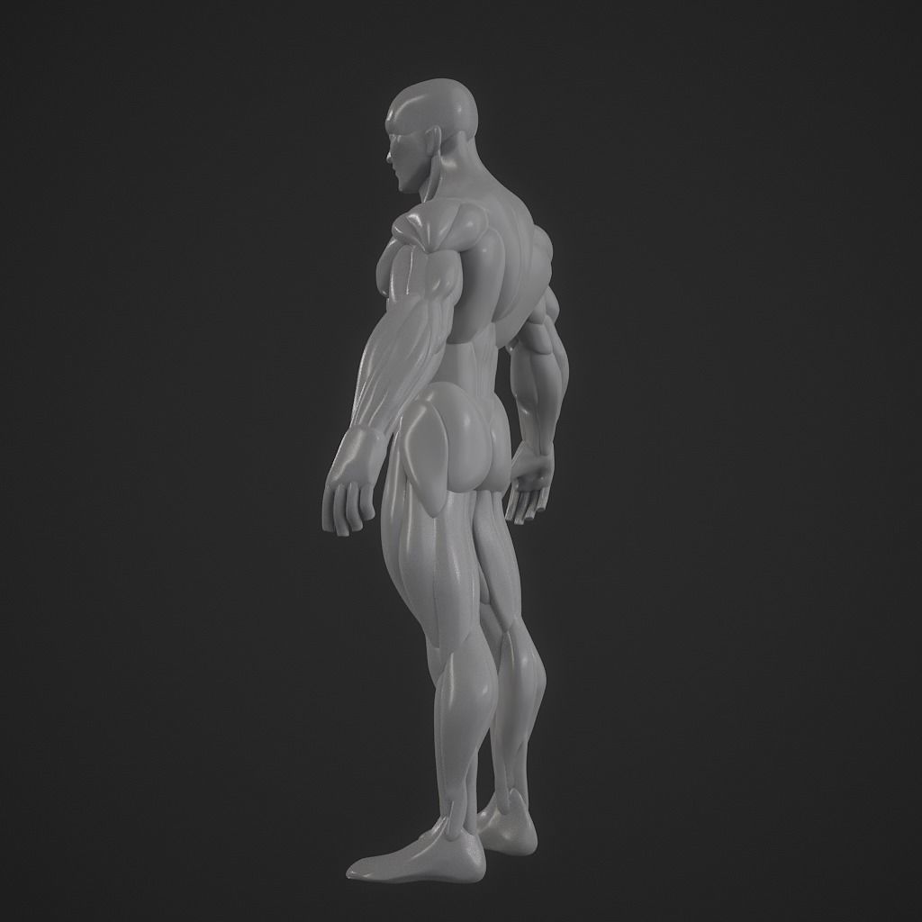 Basebody for Sculpting 3D model_12