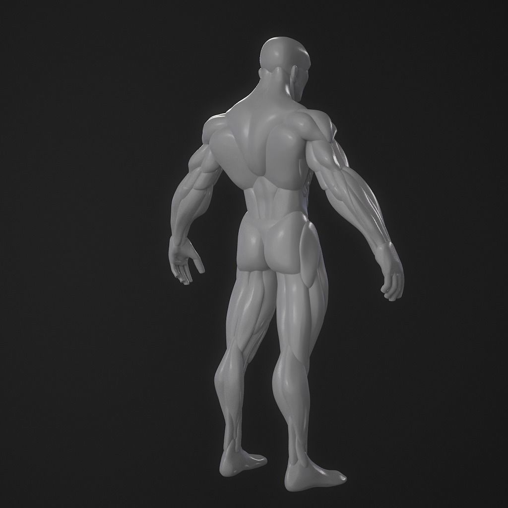 Basebody for Sculpting 3D model_14