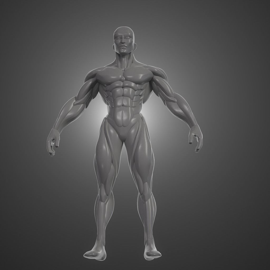 Basebody for Sculpting 3D model_23