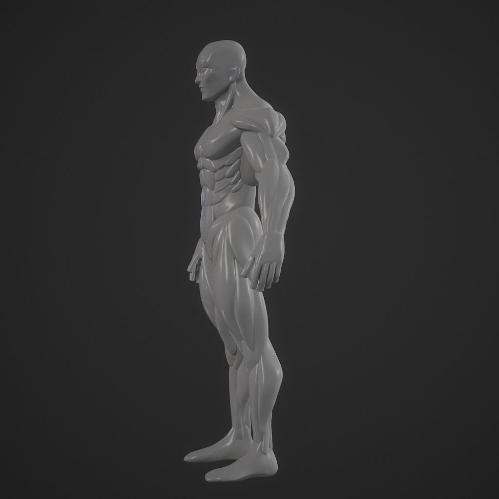 Basebody for Sculpting 3D model_11