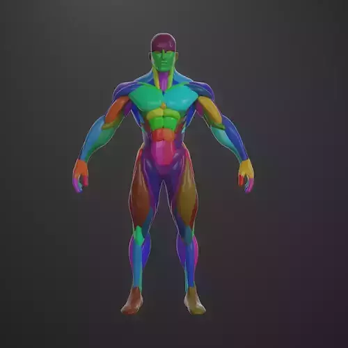 Basebody for Sculpting