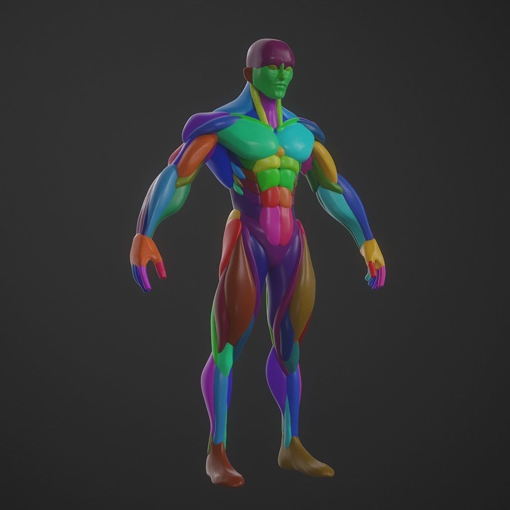 Basebody for Sculpting 3D model_8