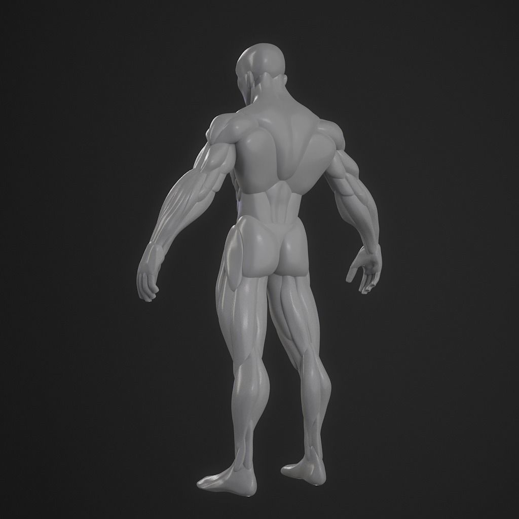 Basebody for Sculpting 3D model_13