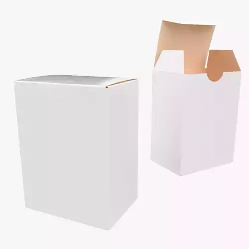 10cm Tall Paper Box Closed Opened Unwrapped 3D model
