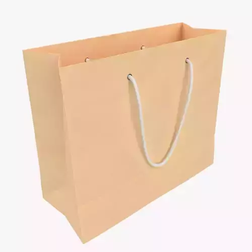 Paper Bag Rope Handle Low High Poly
