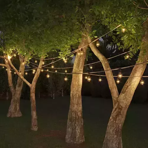 String lights