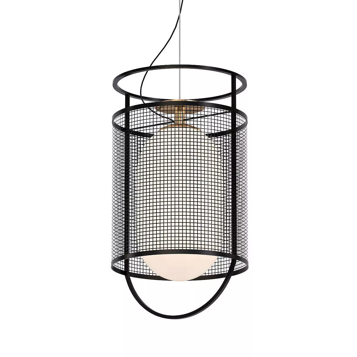 Parachilna Denglong 3D model_0