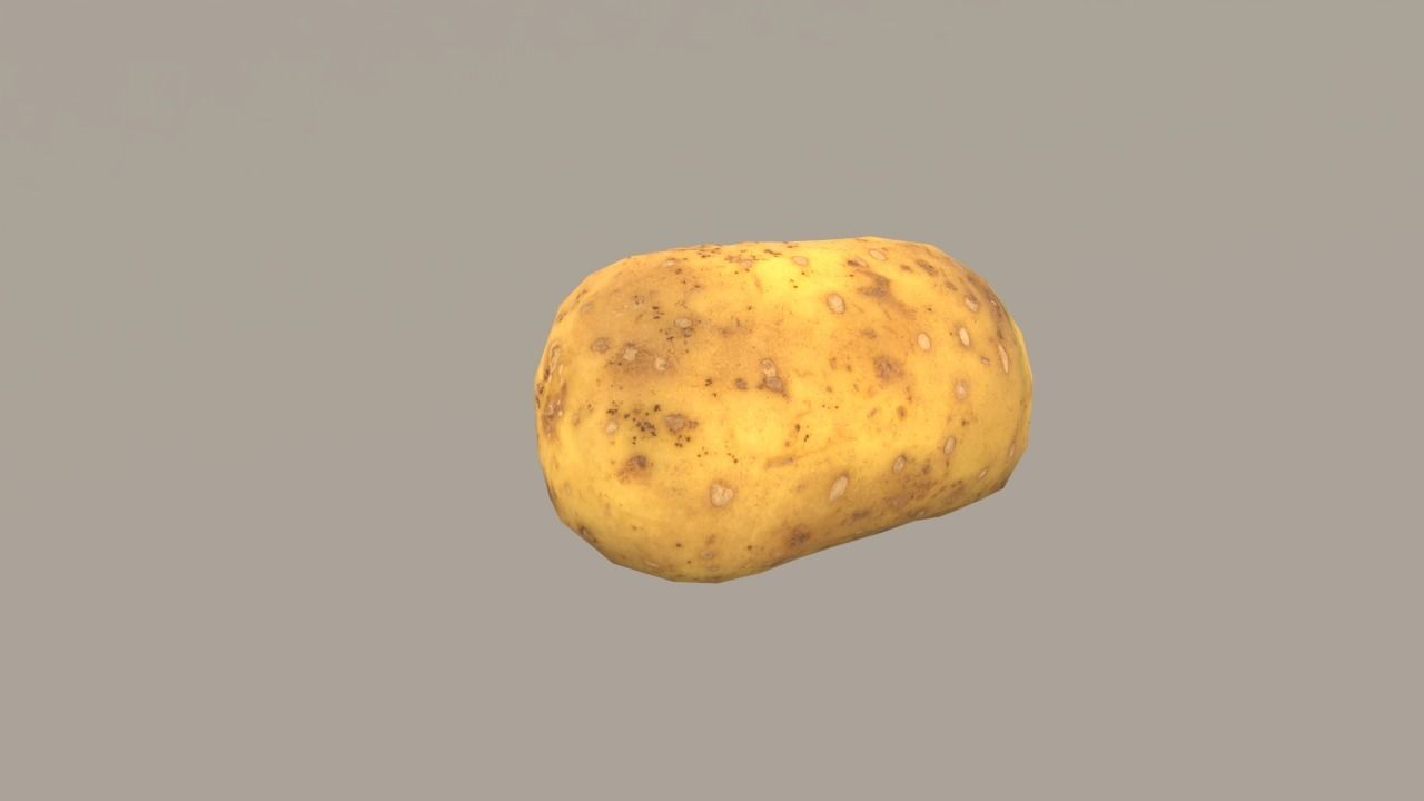 Big Potato Low-poly 3D model_2