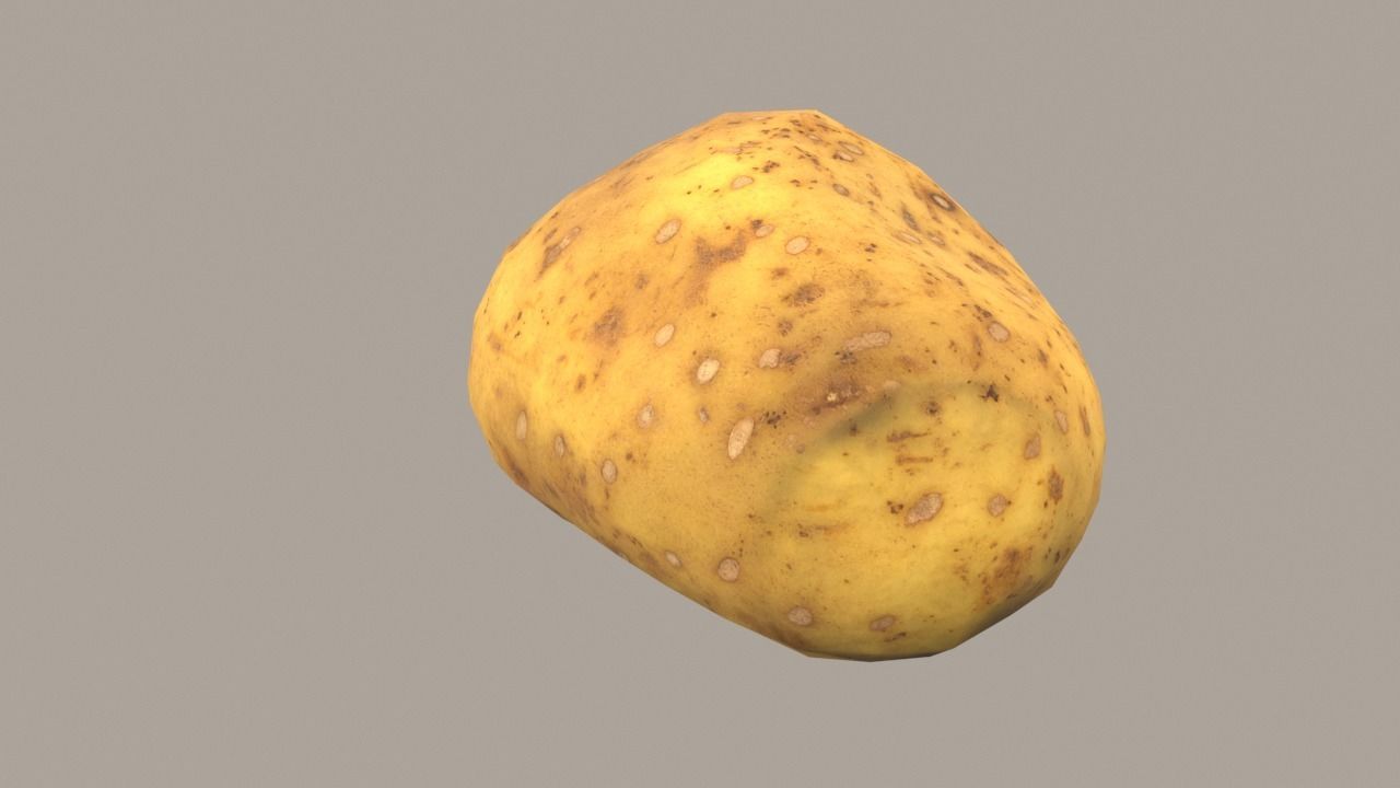 Big Potato Low-poly 3D model_3
