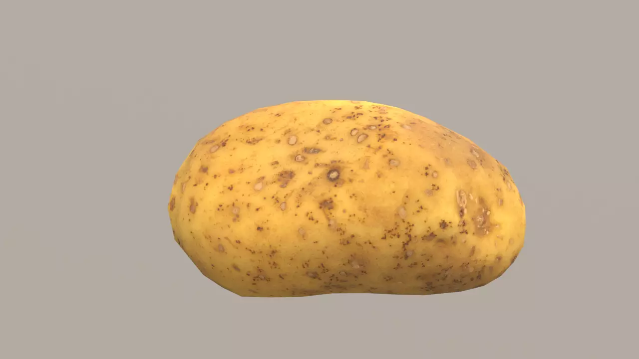 Big Potato Low-poly 3D model_0