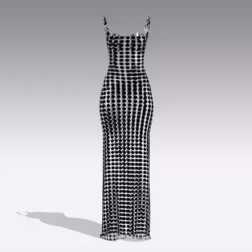  DRESS  SHINE TRANSPARENT LONG DRESS CIRCLE NECKLINE  3D model