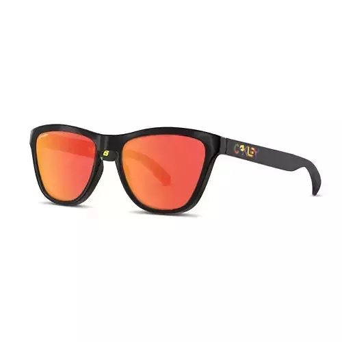 Oakley Frogskins - Prizm Ruby OO9013 Sport glasses Low-poly 3D model