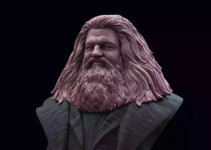 Rubeus Hagrid Bust 3D print model