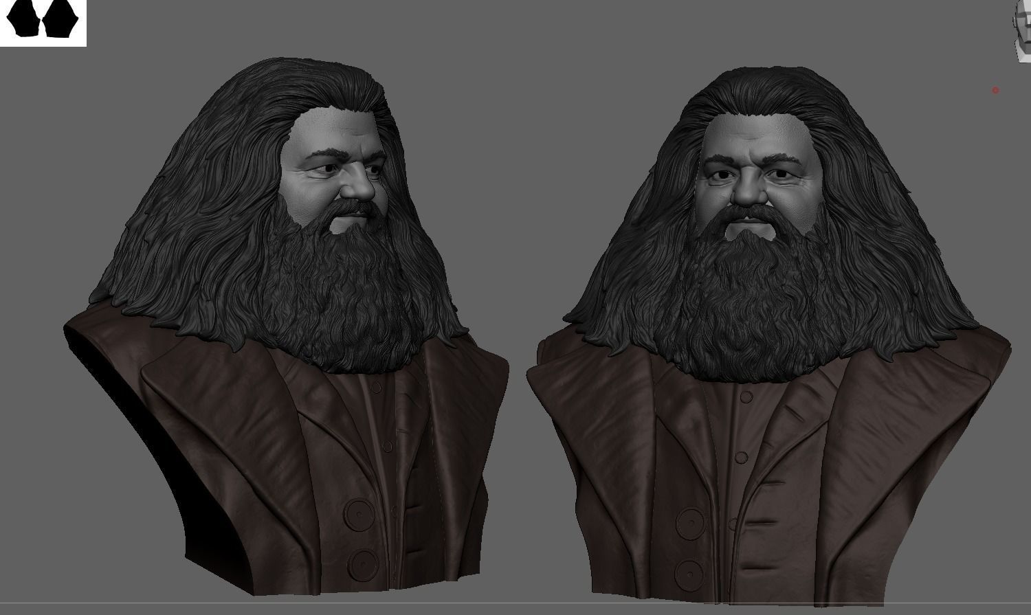 Rubeus Hagrid Bust 3D print model_4
