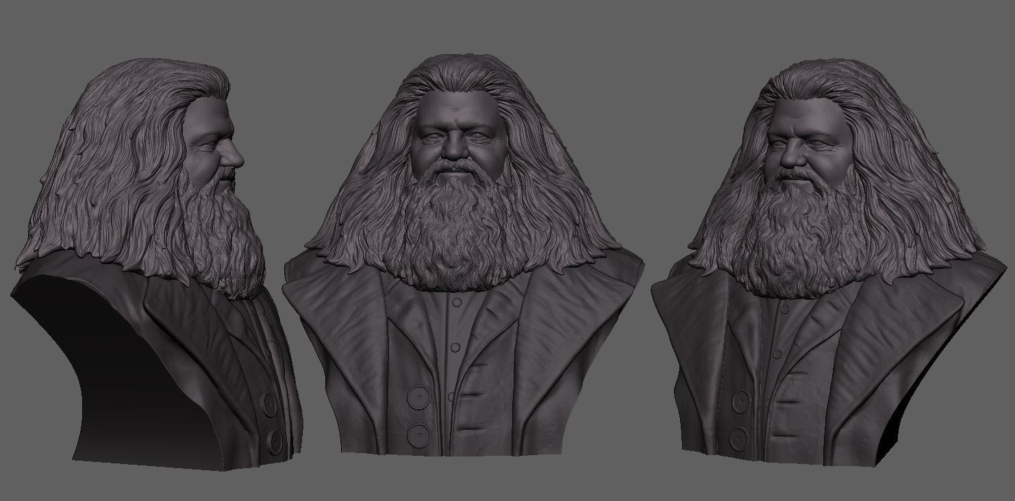 Rubeus Hagrid Bust 3D print model_6
