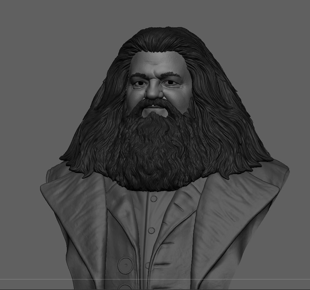 Rubeus Hagrid Bust 3D print model_2