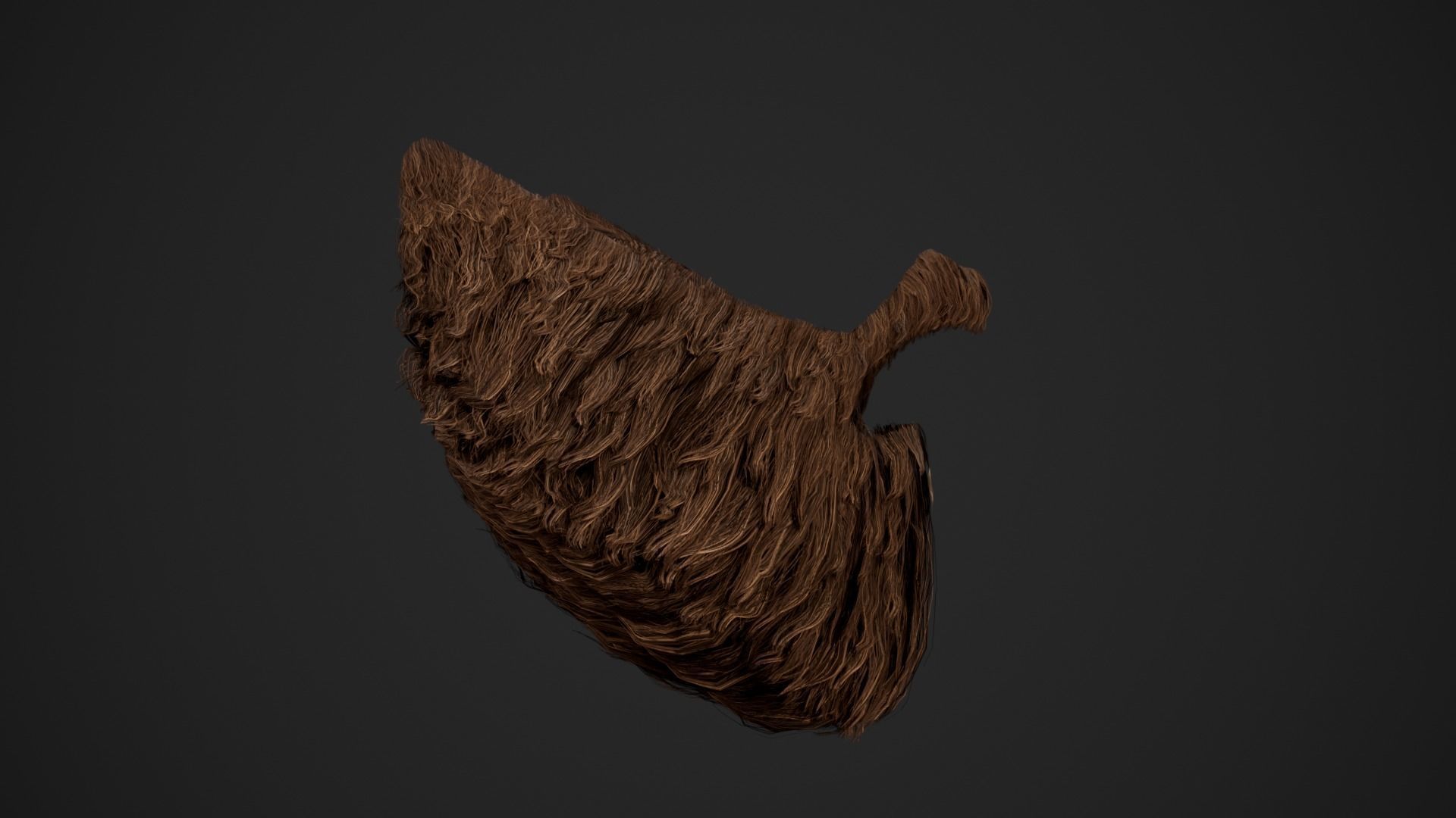 Facial Hair Cards Style 2 - Full Beard 2 Low-poly 3D model_18