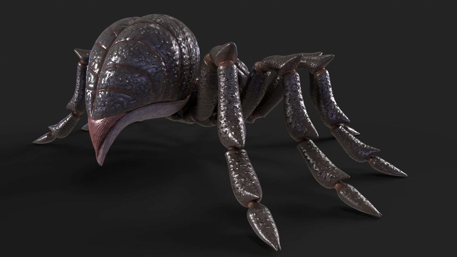 Spider Rigged and Animated Low-poly 3D model_19