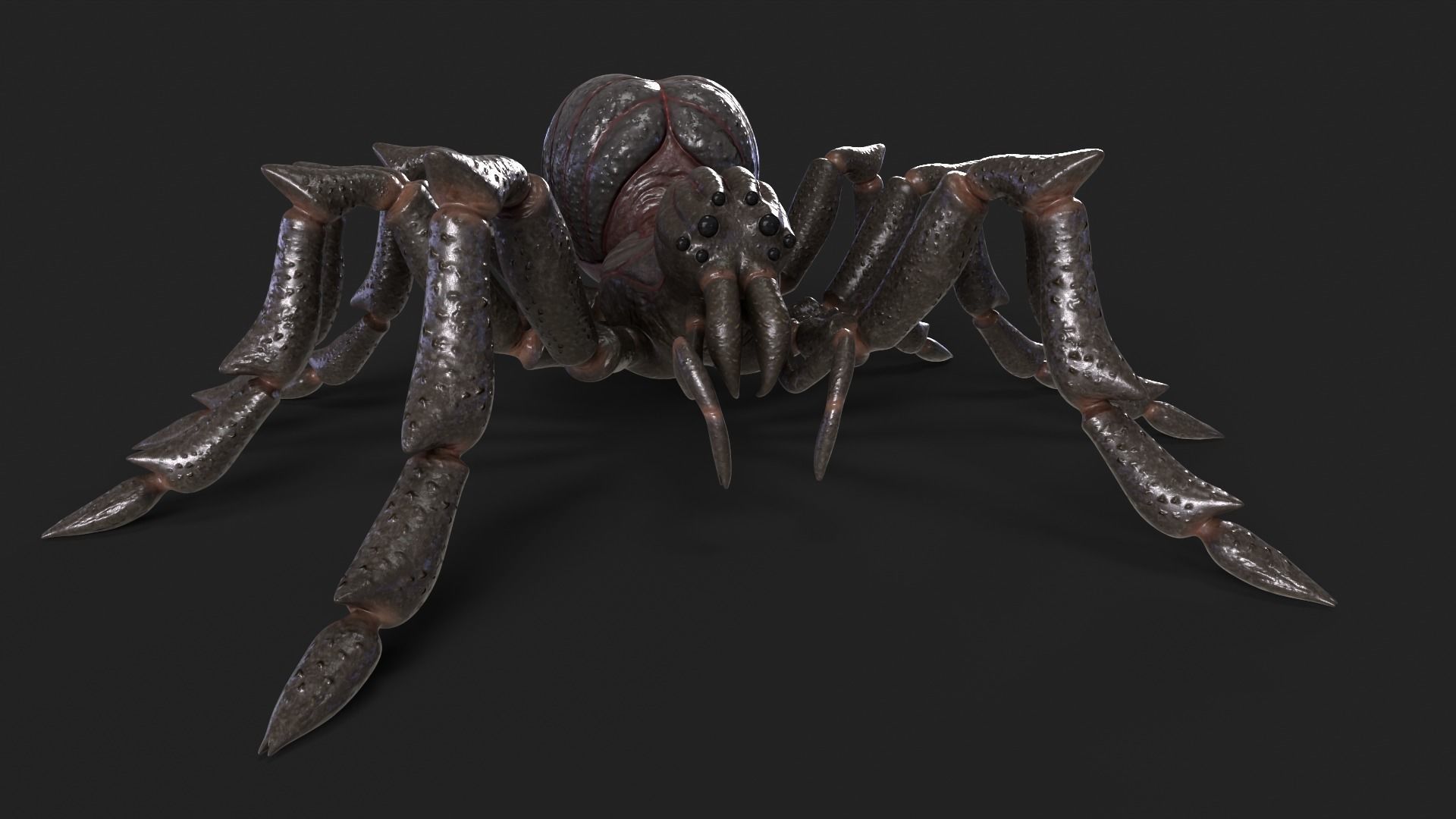Spider Rigged and Animated Low-poly 3D model_18
