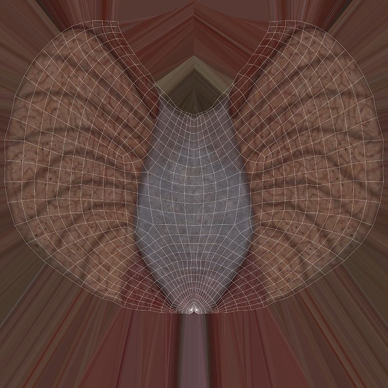 Spider Rigged and Animated Low-poly 3D model_30