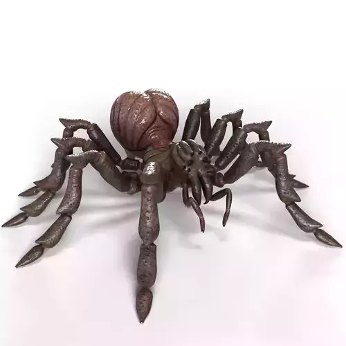 Spider Rigged and Animated