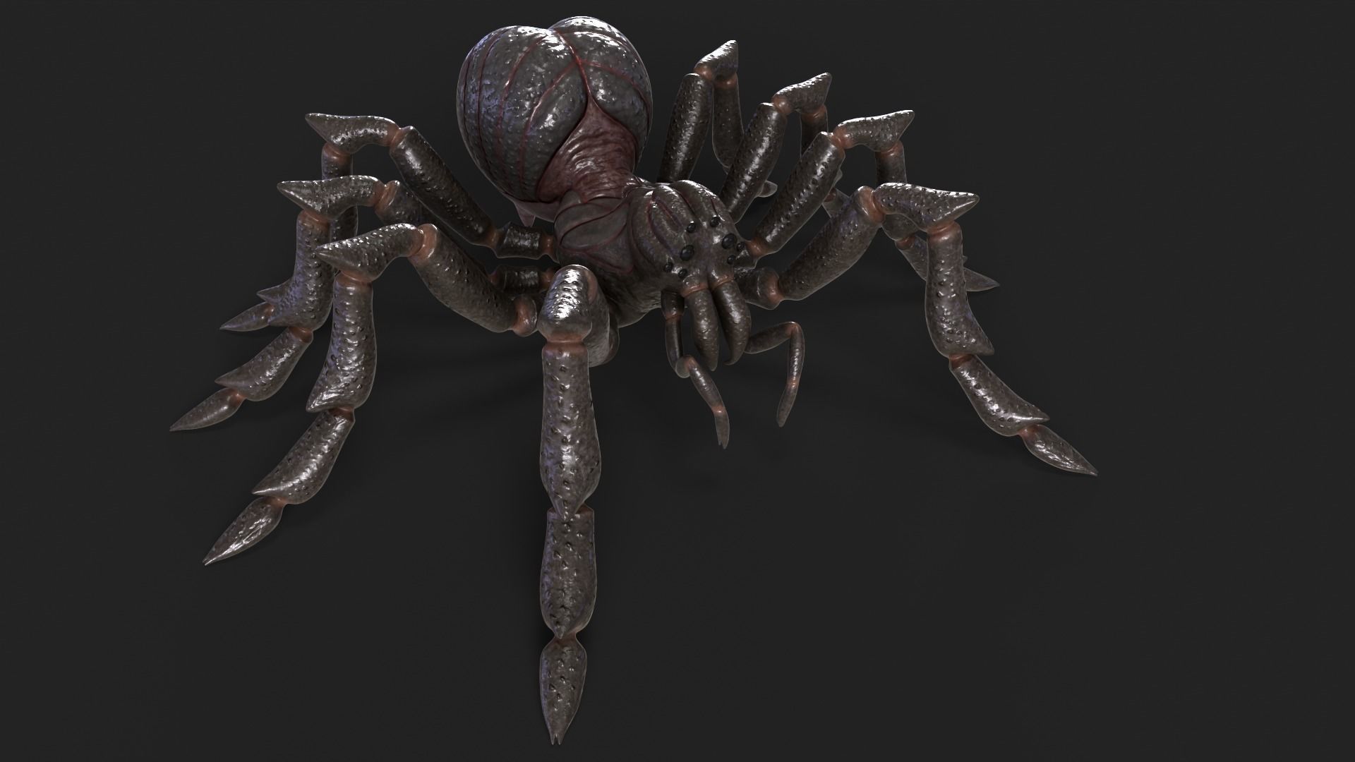 Spider Rigged and Animated Low-poly 3D model_21