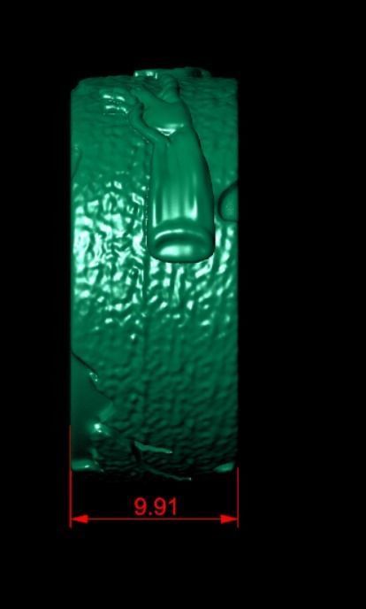 Ring dp40 3D print model_6